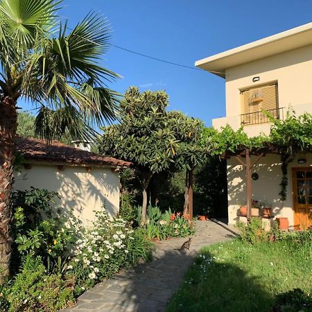 Villa Fatima Vryses Екстер'єр фото